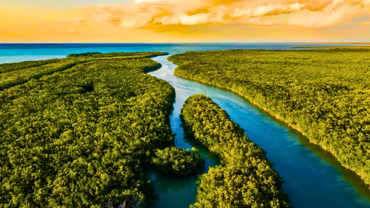 Everglades National Park, Florida