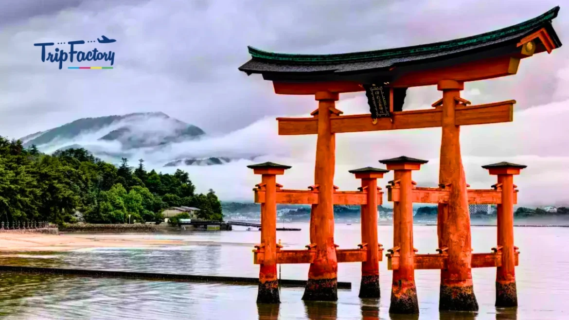 International Places for New Year Holidays