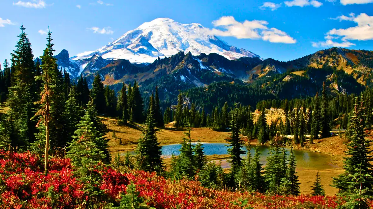  Mount Rainier National Park, Washington