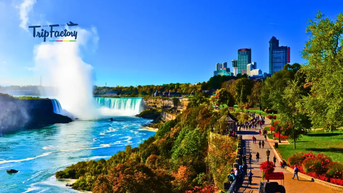 Natural Wonders of the USA