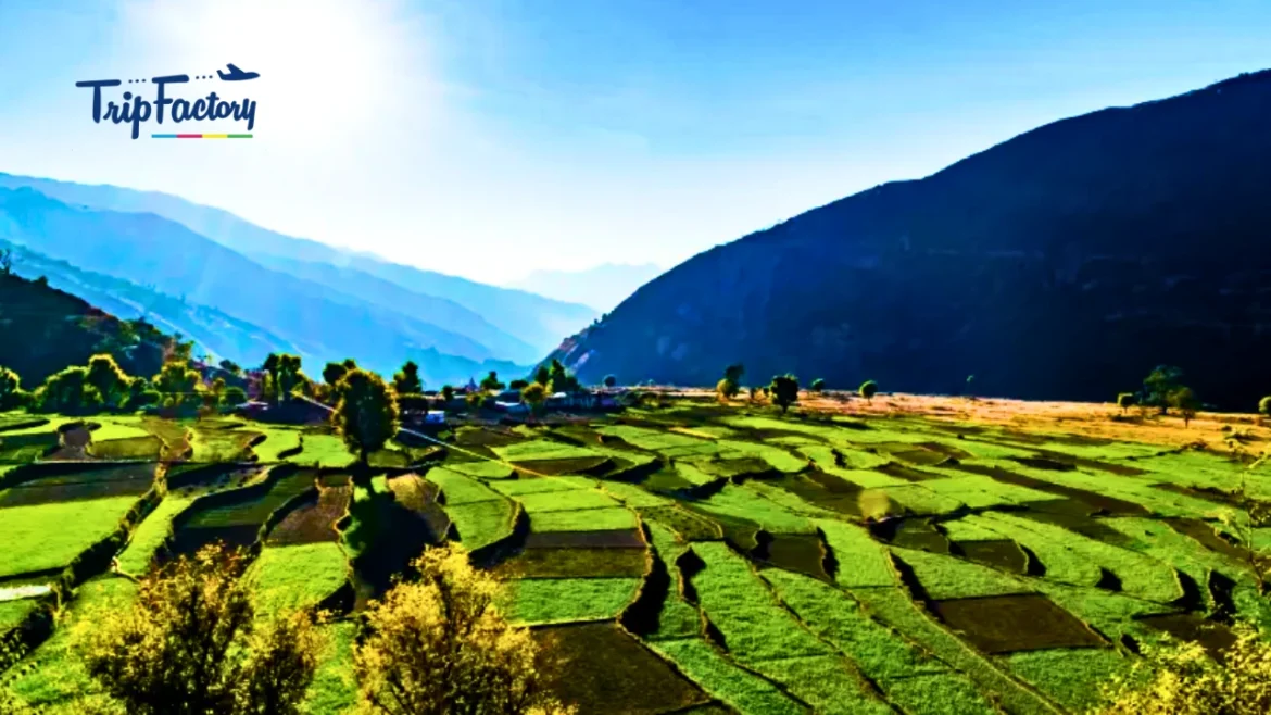 Offbeat Domestic Places for New Year Holidays