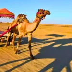 Rann of Kutch, Gujarat