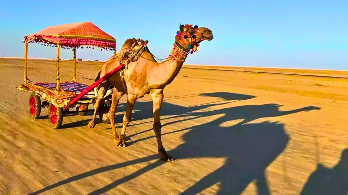 Rann of Kutch, Gujarat