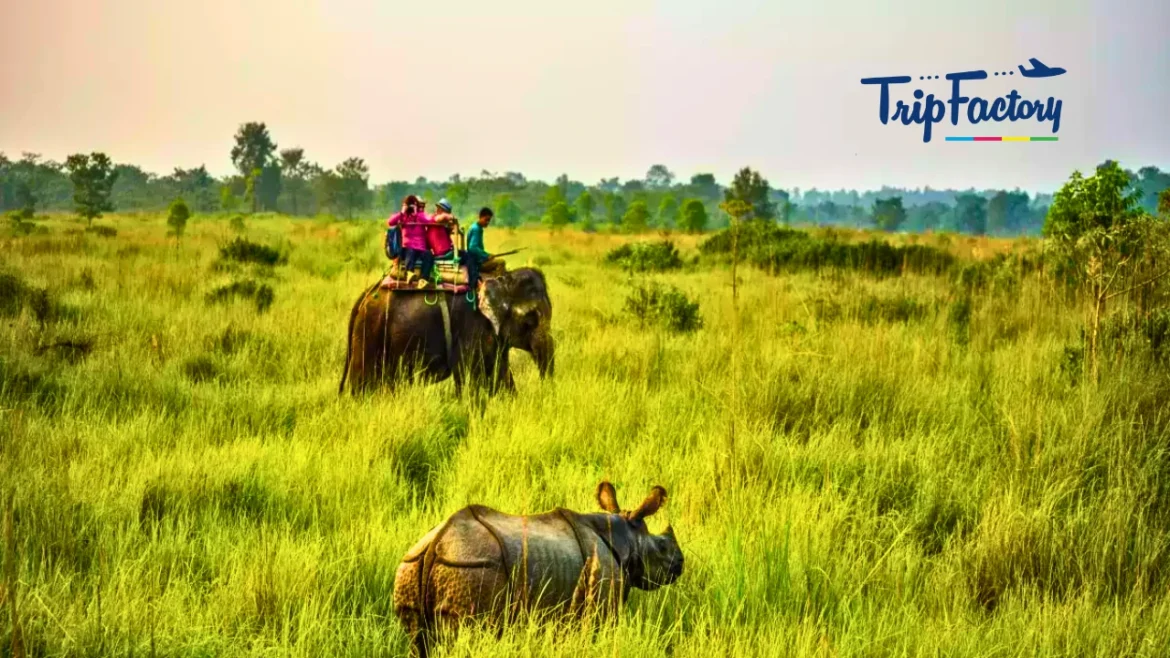 Adventurous Jungle Safaris in India