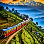 Experience Darjeeling NFR Launches 4 Special Toy Train Joyrides