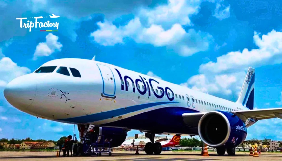 IndiGo Introduces Direct Flights From Pune to Bangkok and Thiruvananthapuram IndiGo Introduces Direct Flights From Pune to Bangkok and Thiruvananthapuram