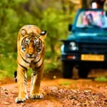 Jim Corbett National Park