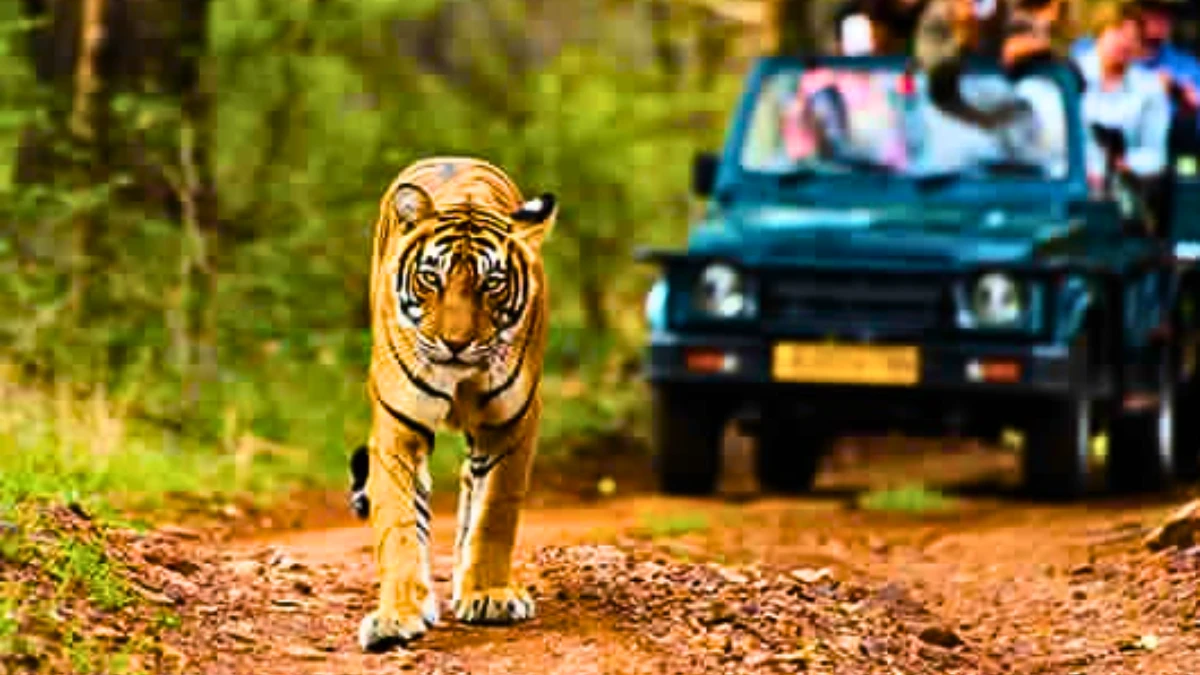 Jim Corbett National Park