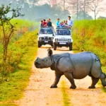 Kaziranga National Park