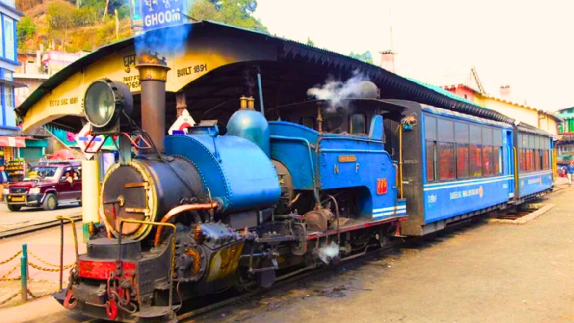Darjeeling Toy Train Returns A Historic Ride Resumes After 4-Month Hiatus