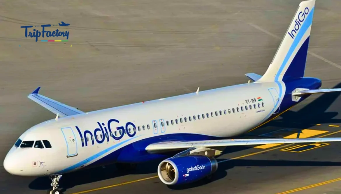 IndiGo Launches Daily Pune-Dubai Direct Flights Perfect Timing for Winter Travelers