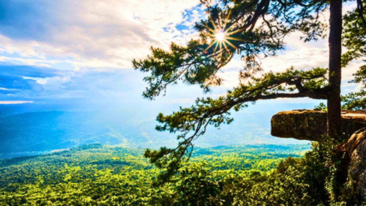 Phu Kradueng National Park