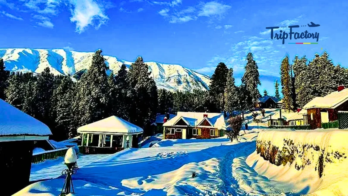 Places to Experience Snowfall This Winter Season
