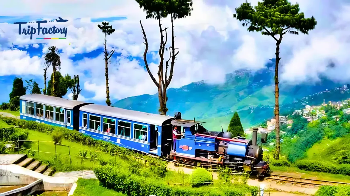 Places to visit in Darjeeling during winter vacation