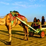 Rann of Kutch, Gujarat