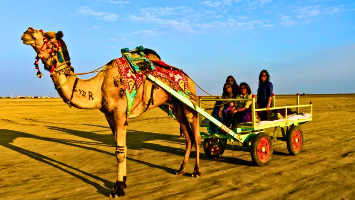 Rann of Kutch, Gujarat