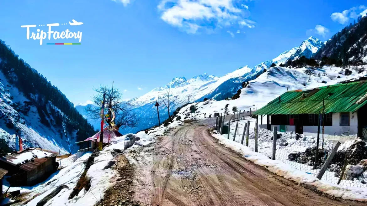 Sikkim Calling Toong-Naga Road Reopens December 1