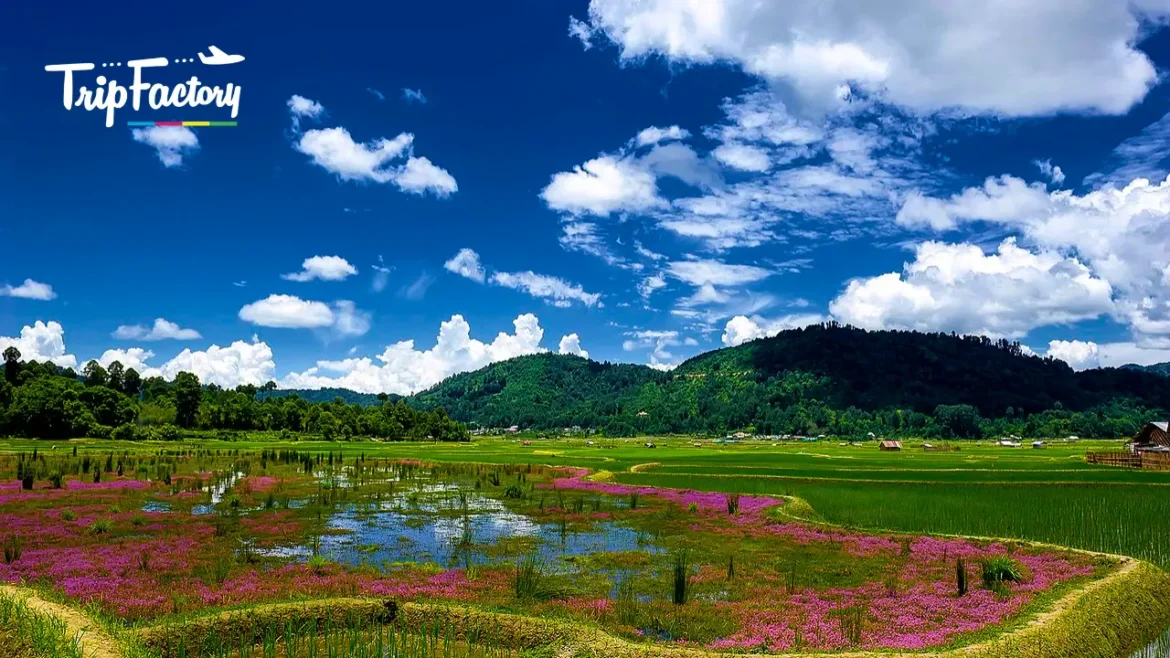 Affordable and Romantic Honeymoon Destinations in Northeast India