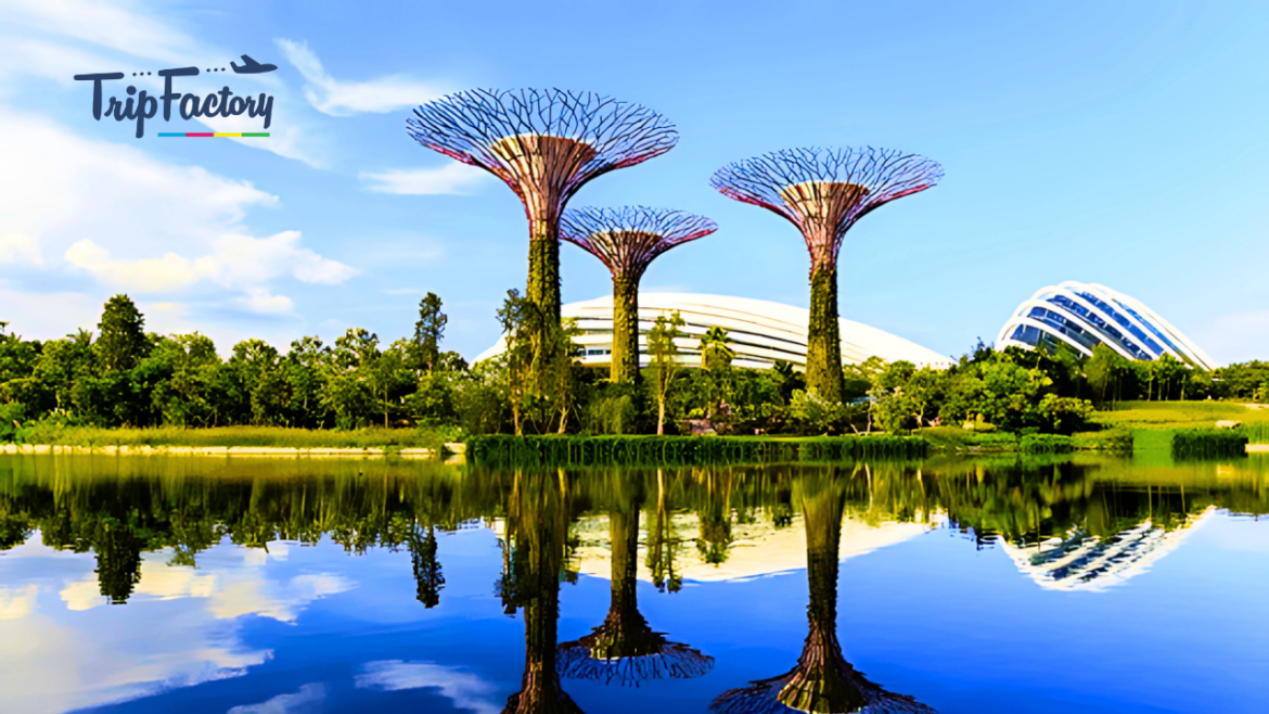 Singapore Expects 1.2 Million Indian visitors by December, Growth to continue in 2025. Singapore Expects 1.2 Million Indian visitors by December, Growth to continue in 2025.