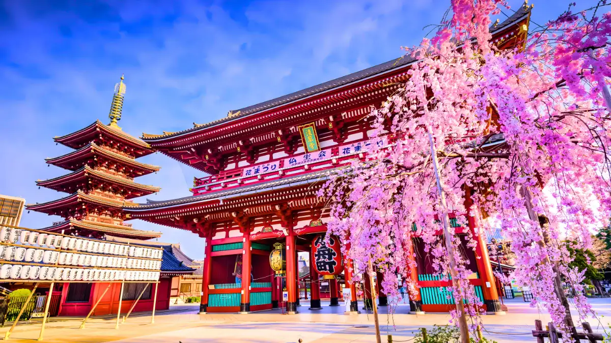 Japan – 193 Destinations