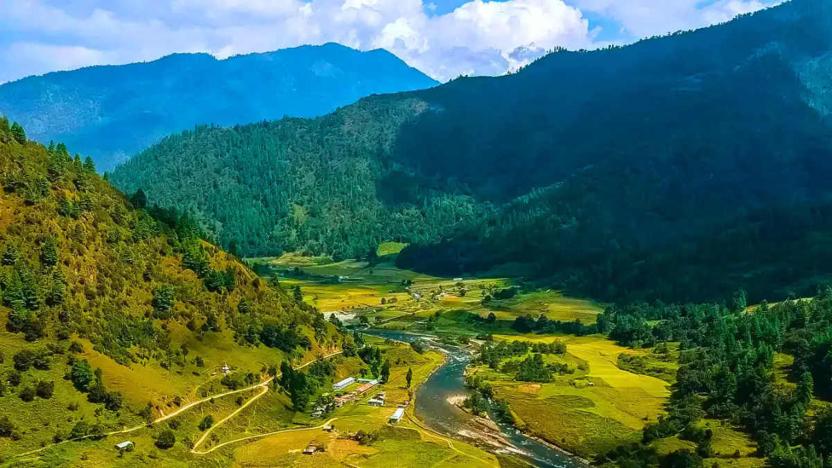 Ziro Valley