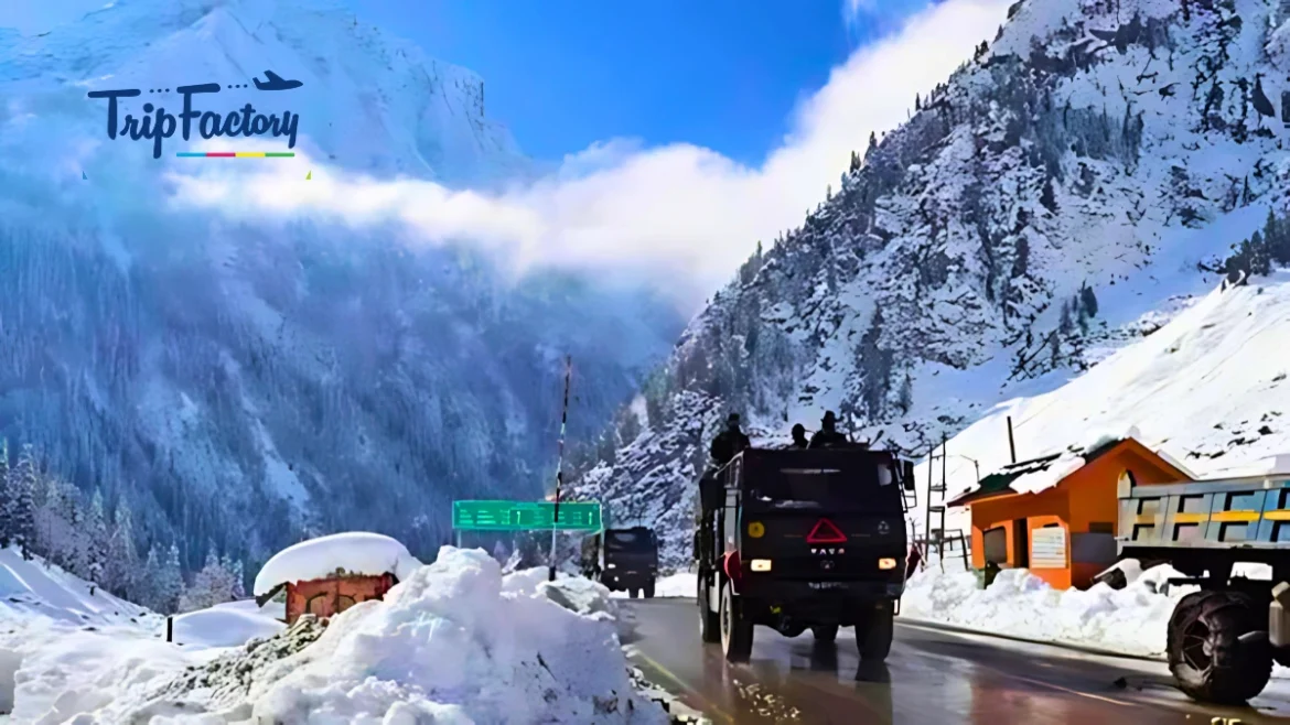 Kashmir Transforms into a Winter Wonderland with Fresh Snowfall Kashmir Transforms into a Winter Wonderland with Fresh Snowfall