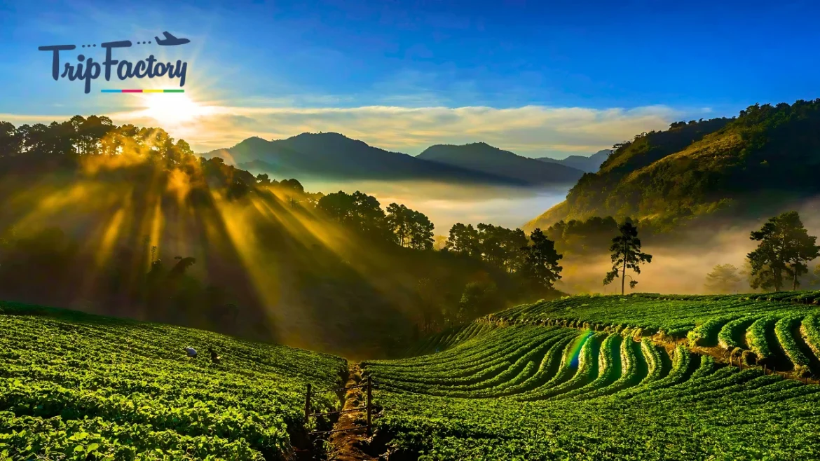10 Best Hill Stations to Explore in South India This February 10 Best Hill Stations to Explore in South India This February