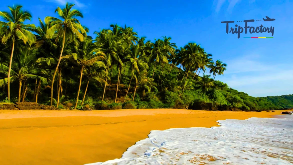 10 Budget-Friendly Beach Destinations Indians Will Enjoy 10 Budget-Friendly Beach Destinations Indians Will Enjoy