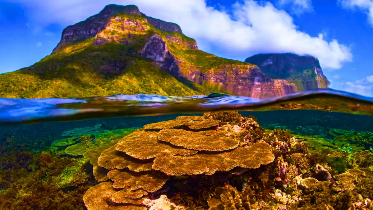 Great Barrier Reef, Australia