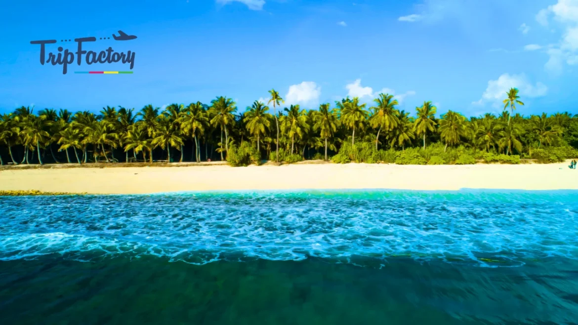 Indian Islands That Are Just as Gorgeous as the Maldives Indian Islands That Are Just as Gorgeous as the Maldives