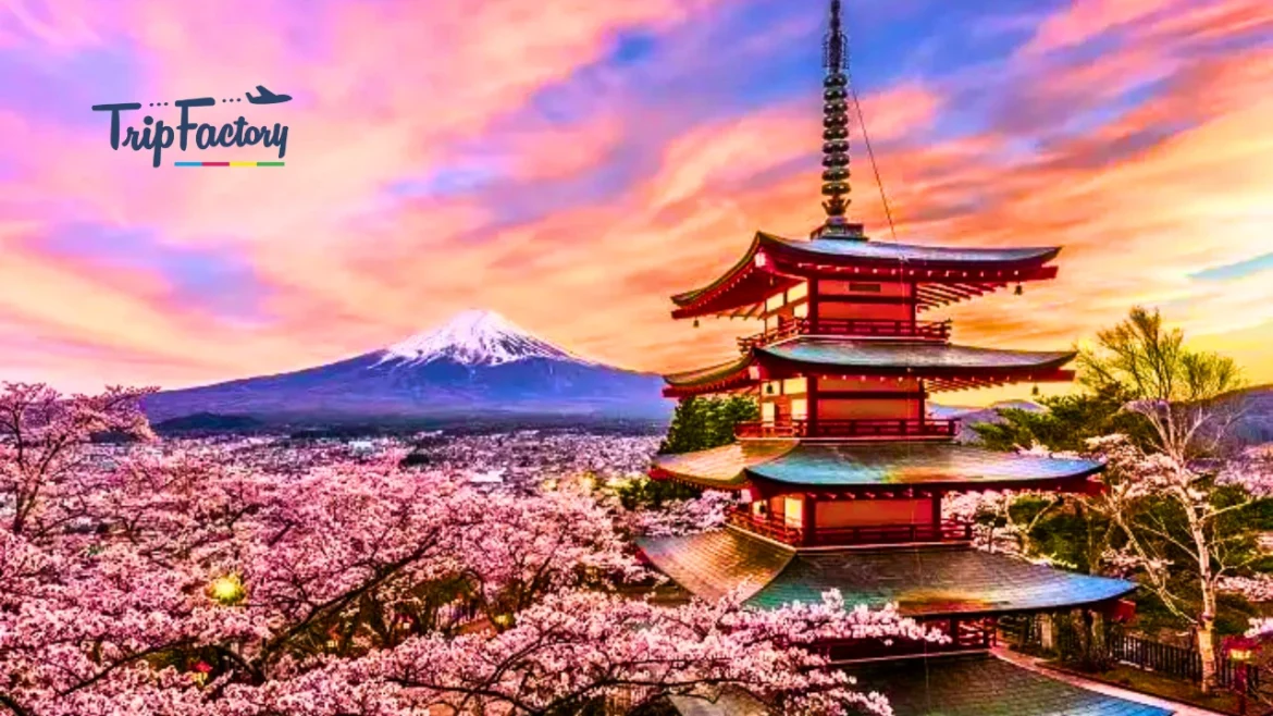 Japan sees 40% increase in visitors from India in record-breaking tourism year. Japan sees 40% increase in visitors from India in record-breaking tourism year.