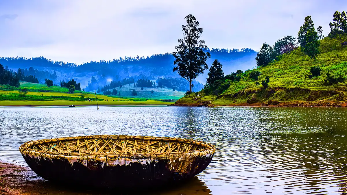  Kodaikanal, Tamil Nadu