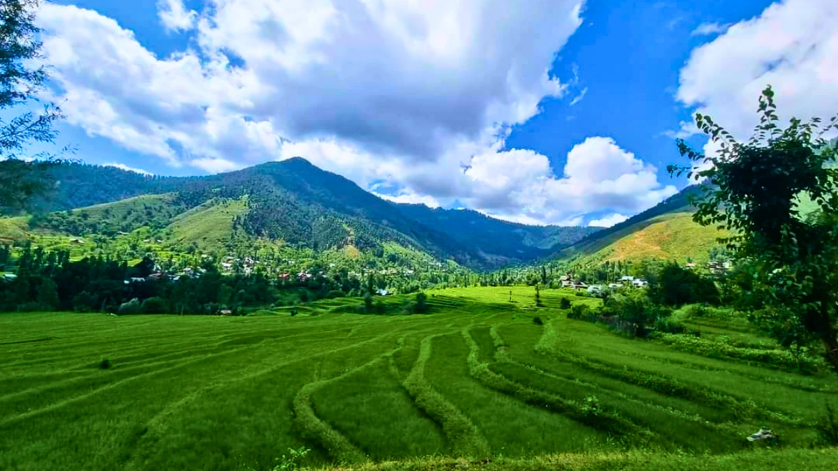  Kupwara