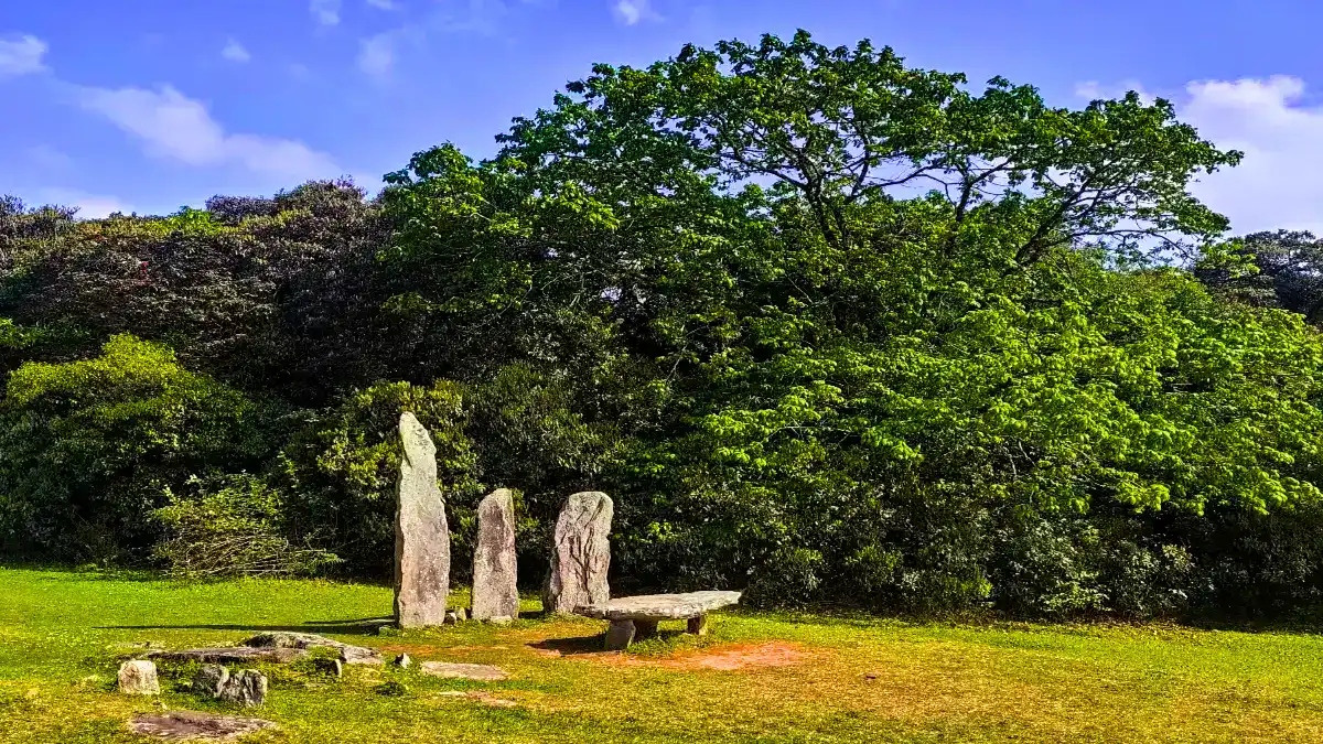  Mawphlang, Meghalaya