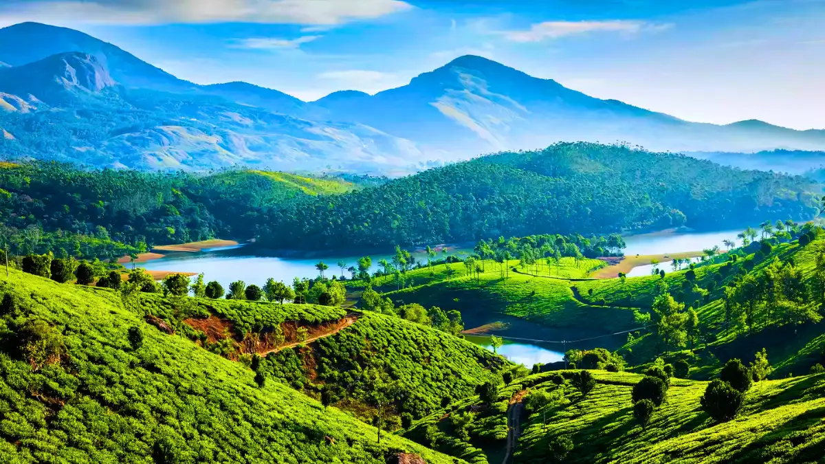 Munnar, Kerala