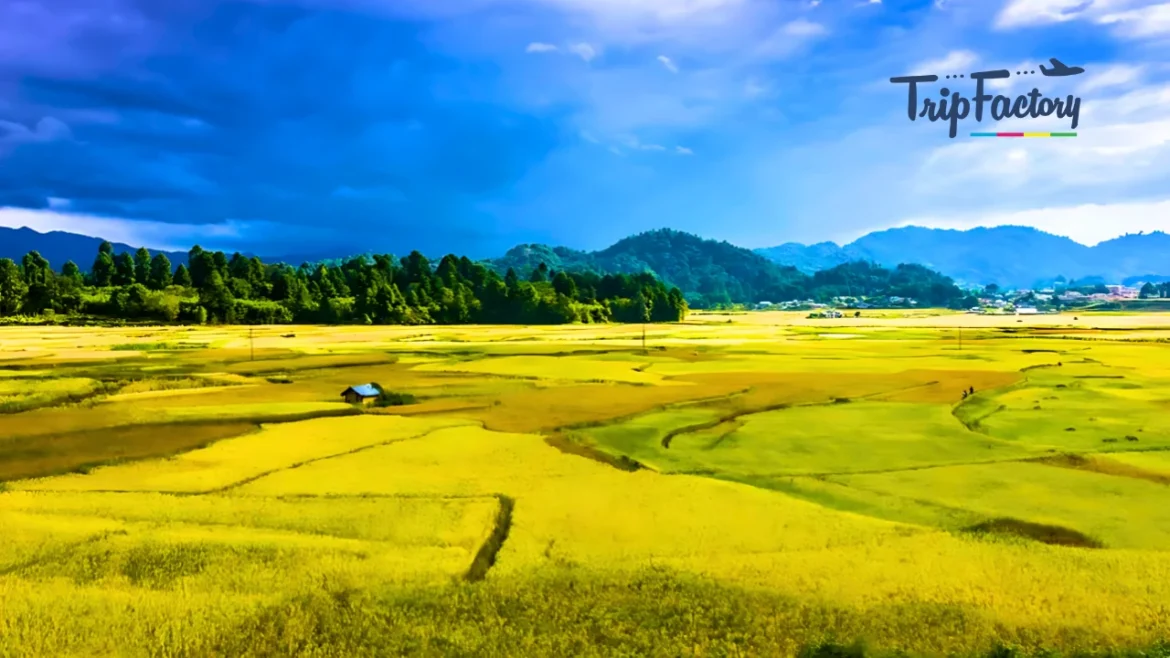 Must-Visit Destinations in Northeast India for 2025