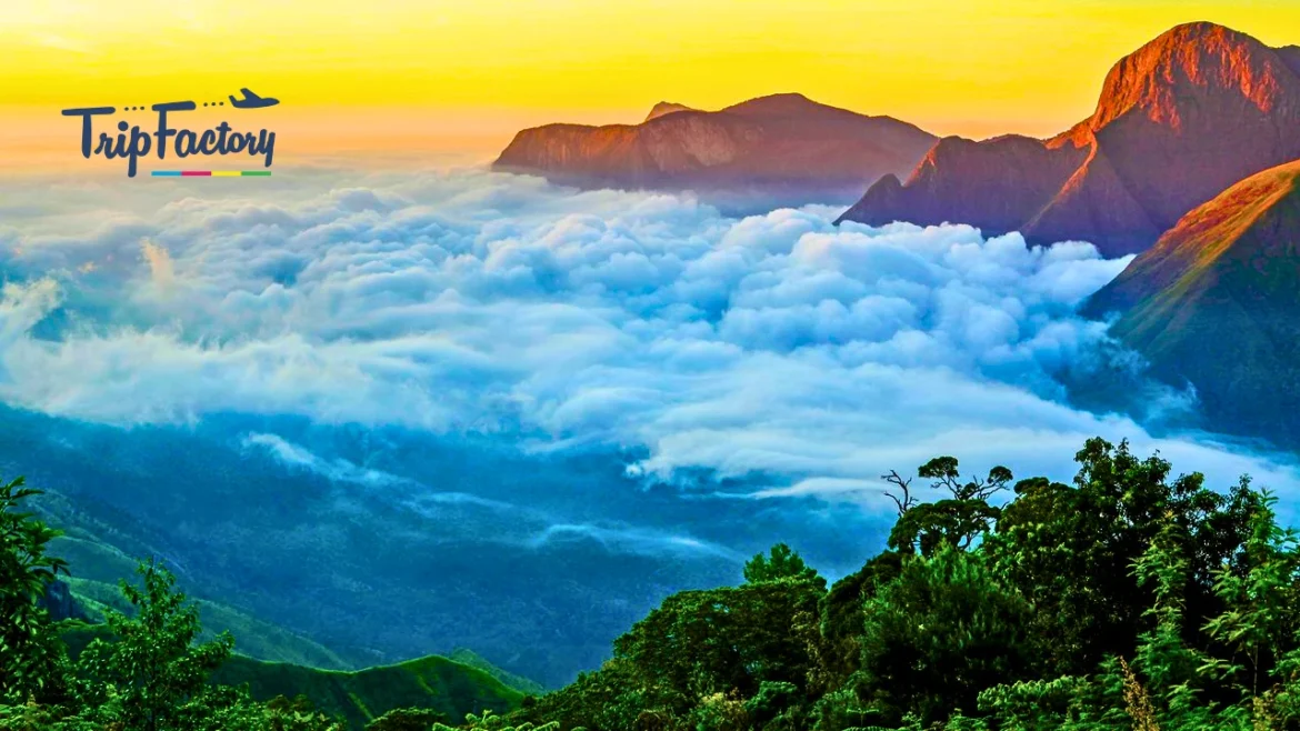 10 Must-Visit Indian Destinations for Nature Lovers in 202510 Must-Visit Indian Destinations for Nature Lovers in 2025