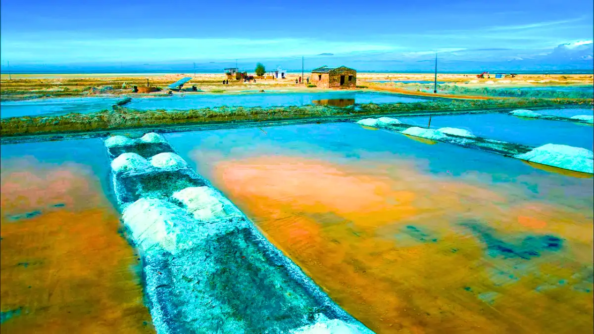 Sambhar Lake, Rajasthan