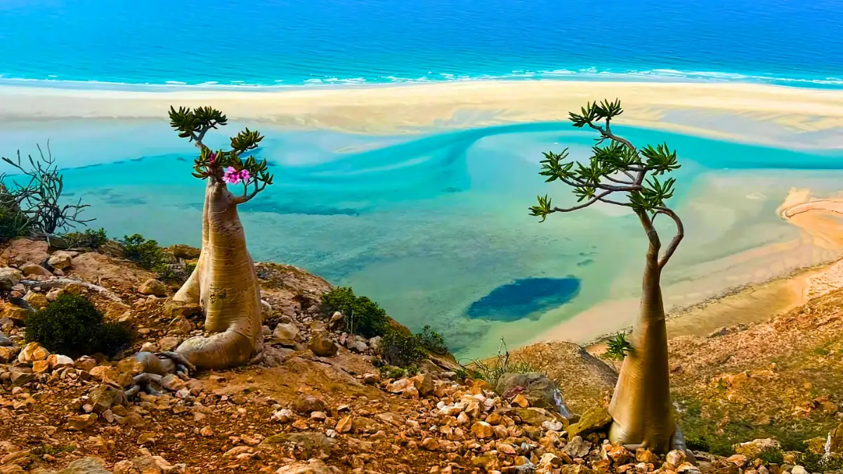 Socotra, Yemen