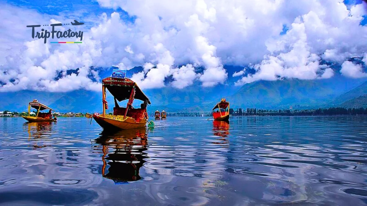 Top 10 Lakes in India You Must Visit