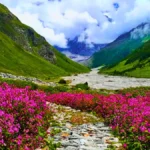 Valley of Flowers