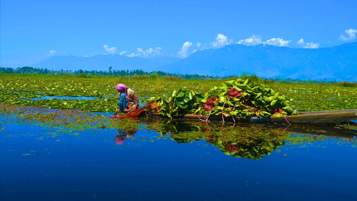 Wular Lake, Jammu & Kashmir