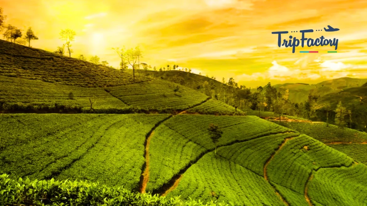 10 Must-Visit Travel Destinations for 2025 Indian State Ranks 4th Worldwide 10 Must-Visit Travel Destinations for 2025 Indian State Ranks 4th Worldwide