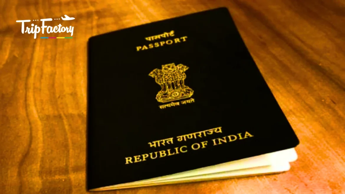 26 Countries Offer Visa-Free Entry to Indians, 40 Provide Visa on Arrival Government