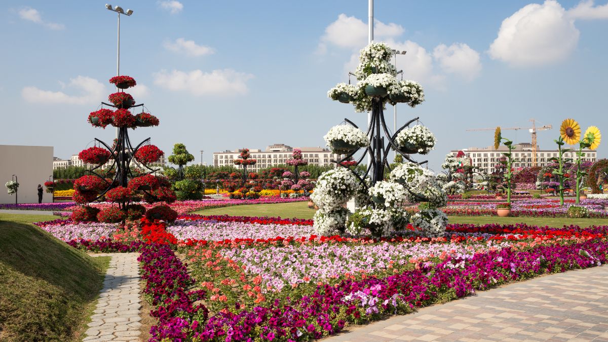 Dubai Miracle Garden