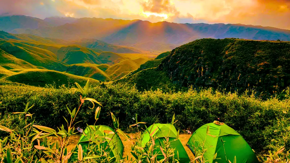 Dzukou Valley, Nagaland