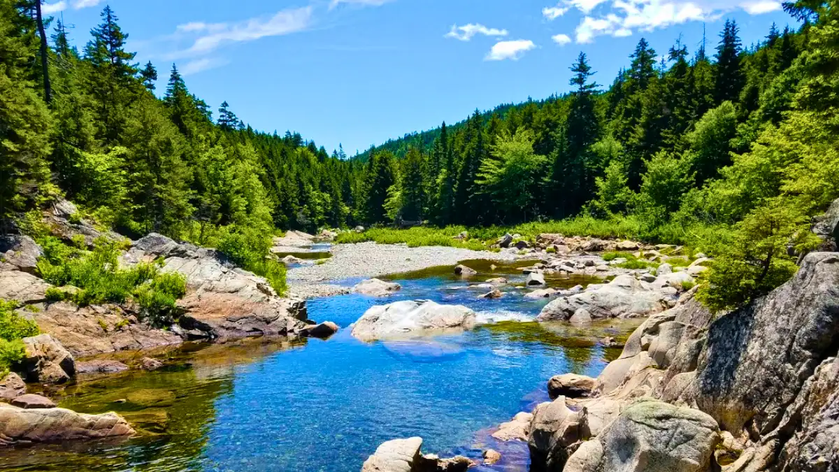 Fundy National Park