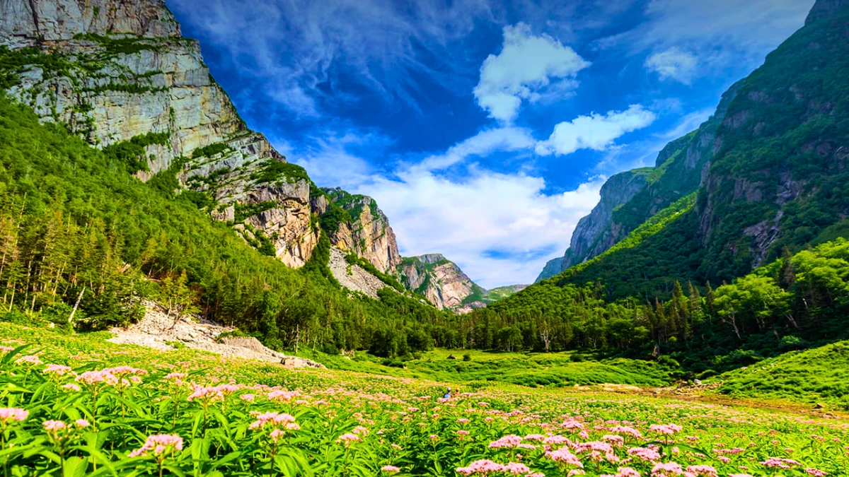 Gros Morne National Park