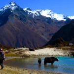 Laya Gasa Trek