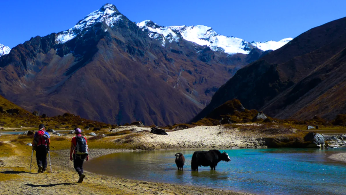 Laya Gasa Trek